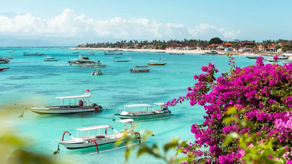 Vibrant pink bougainvillea flowers framing the white sand coast and clear shallow waters of Jungut Batu Beach Nusa Lembongan and also in Nusa Penida Twin Island Tour.